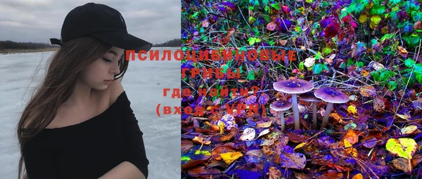 индика Сосновый Бор