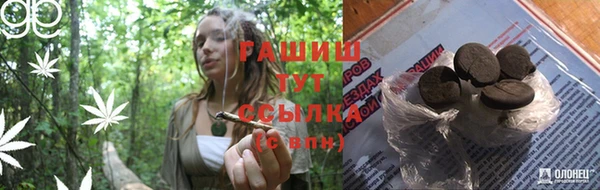 ГАЛЛЮЦИНОГЕННЫЕ ГРИБЫ Сосновка