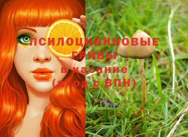 индика Сосновый Бор