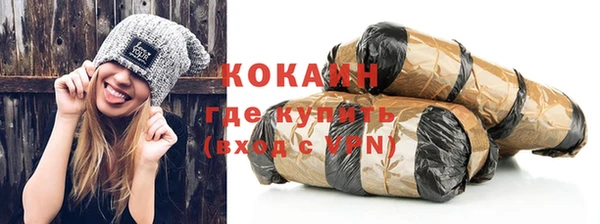 индика Сосновый Бор