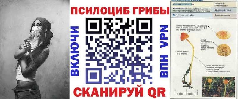 Купить закладки  Тейково  Псилоцибиновые грибы мухоморы 